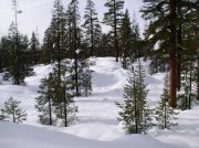 Sunriver Jan 06a 089 